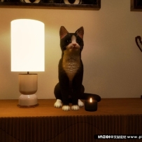 inzoi mod 猫狗野生动物动态宠物随处放【N网MOD】