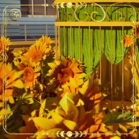 【笼中梦系列_葵花】inZOI CC 户外植物