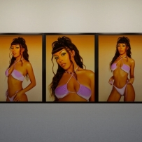 Doja Cat 相框照片 inZOI MOD 云族裔模组【N网mod】