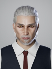 分享下我的《猎魔人》系列捏脸