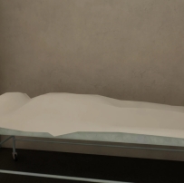 【N网搬运】inZOI MOD一具尸体